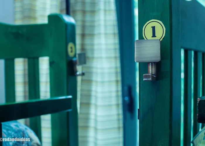 Pet Friendly hotel: Trip'N'Hostel