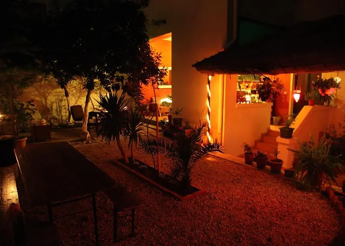 Pet Friendly hotel: Trip'N'Hostel